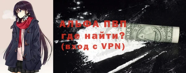 дживик Няндома
