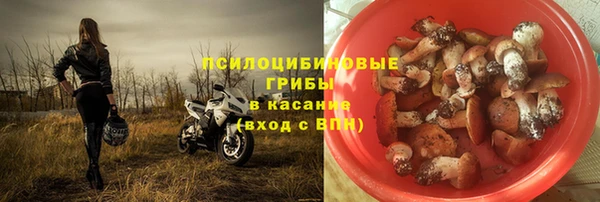 спиды Аркадак
