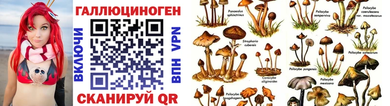 Галлюциногенные грибы GOLDEN TEACHER  купить наркотик  hydra онион  Певек 